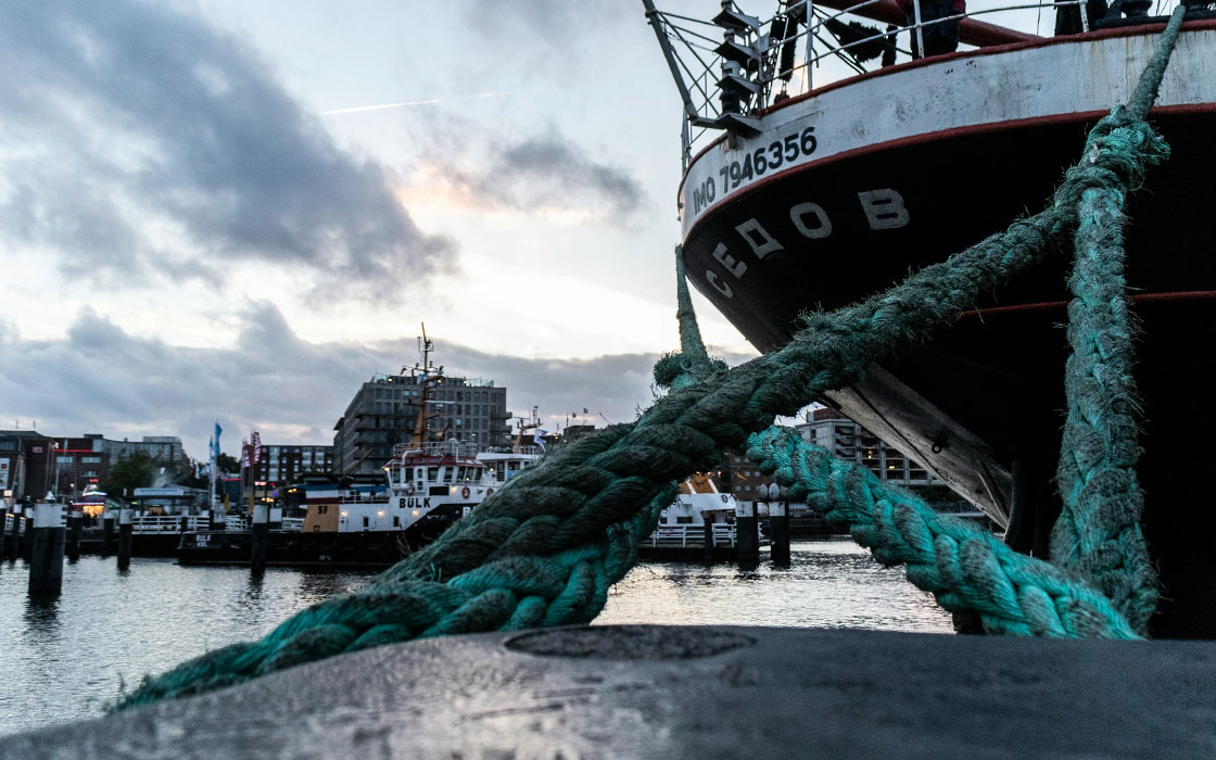 Kieler Woche: View of Kiel harbor