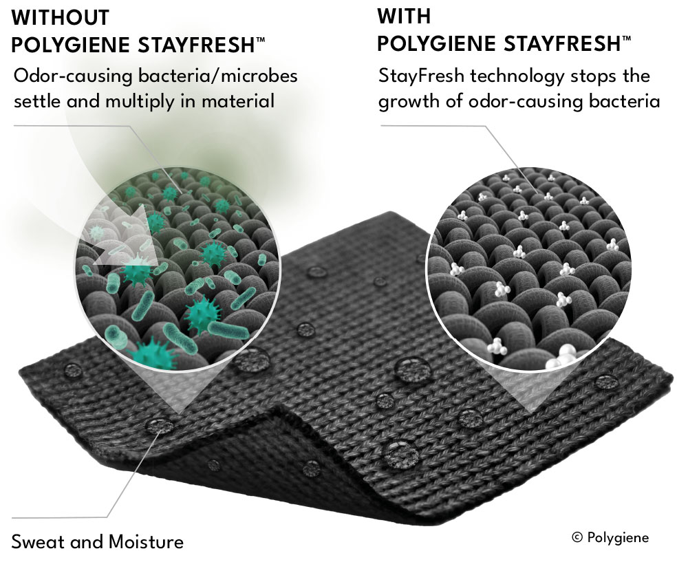 Polygiene: How it works